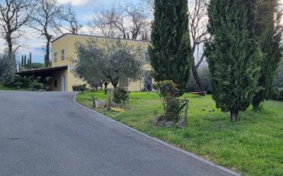 Oltre la siepe