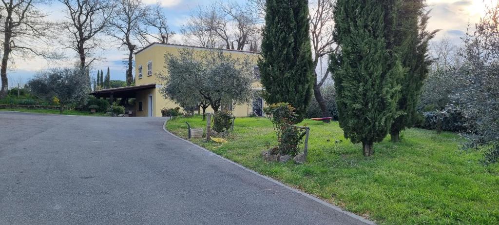 Oltre la siepe