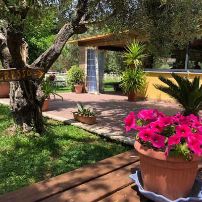 Agriturismo Rio Vicano