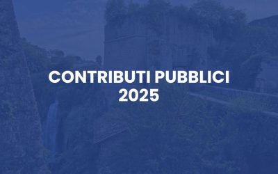 Contributi pubblici 2025